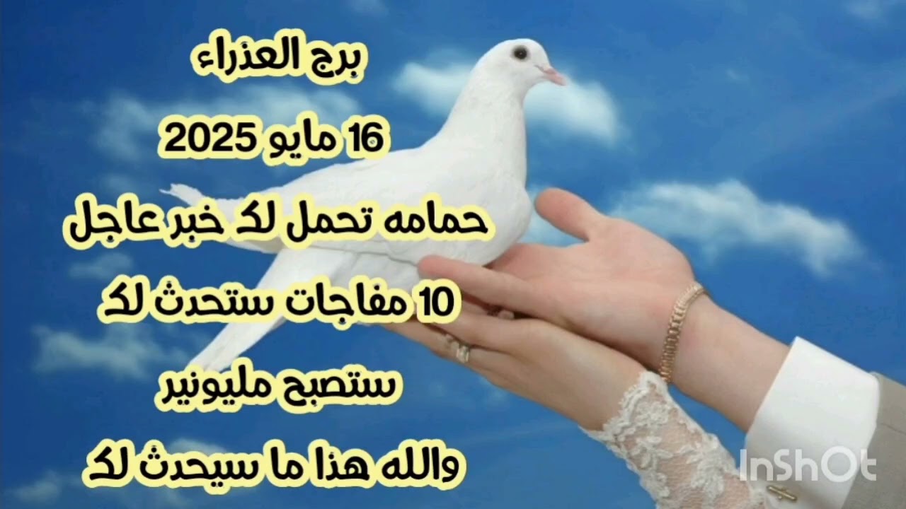 برج العذراء 16 مايو 2025//حمامه تحمل لك خبر عاجل 💫 10 مفاجات ستحدث لك 💫 ستصبح مليونير