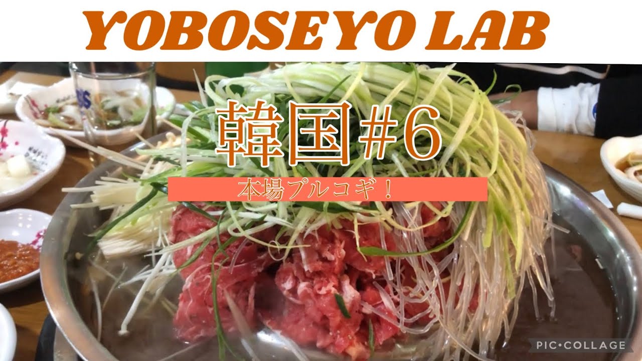【韓国プルコギ】東大門(トンデムン)で、山盛りのお肉にネギと韓国春雨のプルコギだよ！