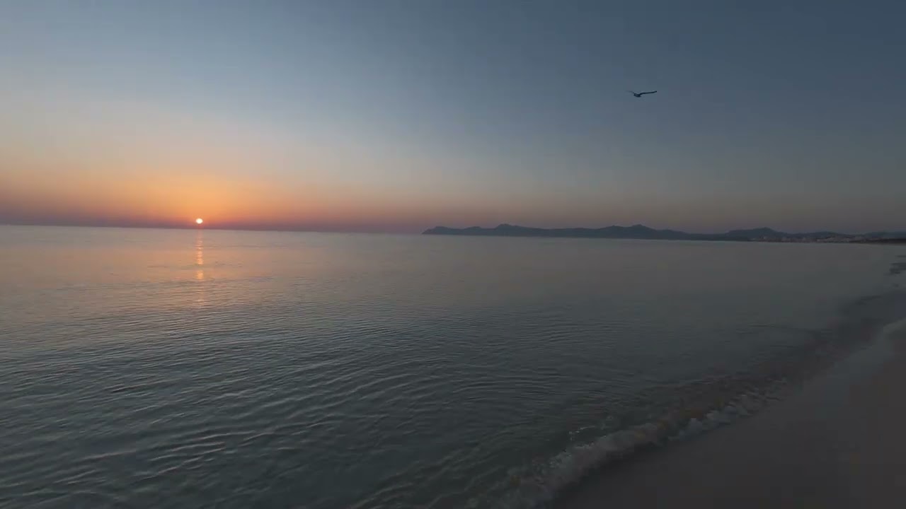 Entspannter Strand Spaziergang an der Playa de Muro #Mallorca #beach