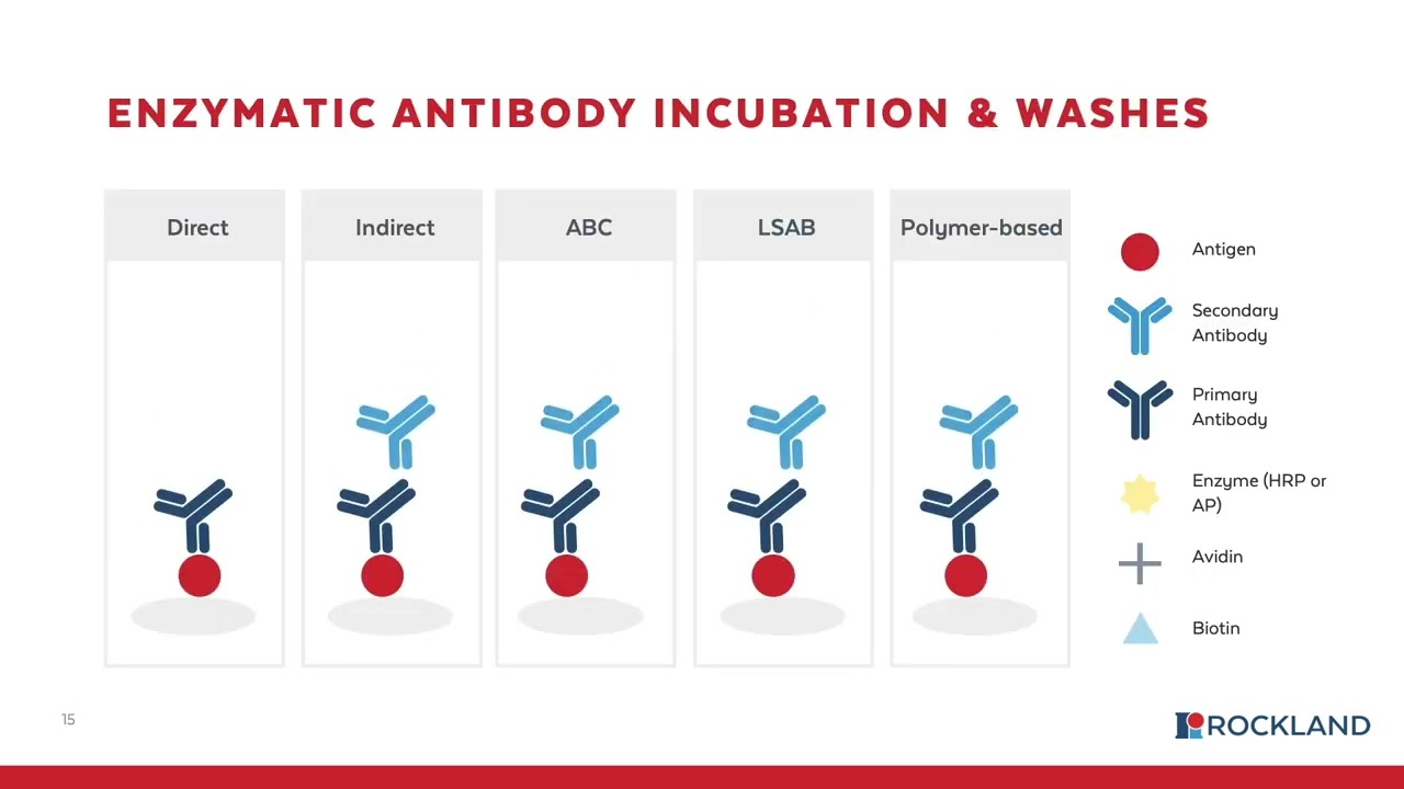 Immunohistochemistry (IHC) workflow [WEBINAR]