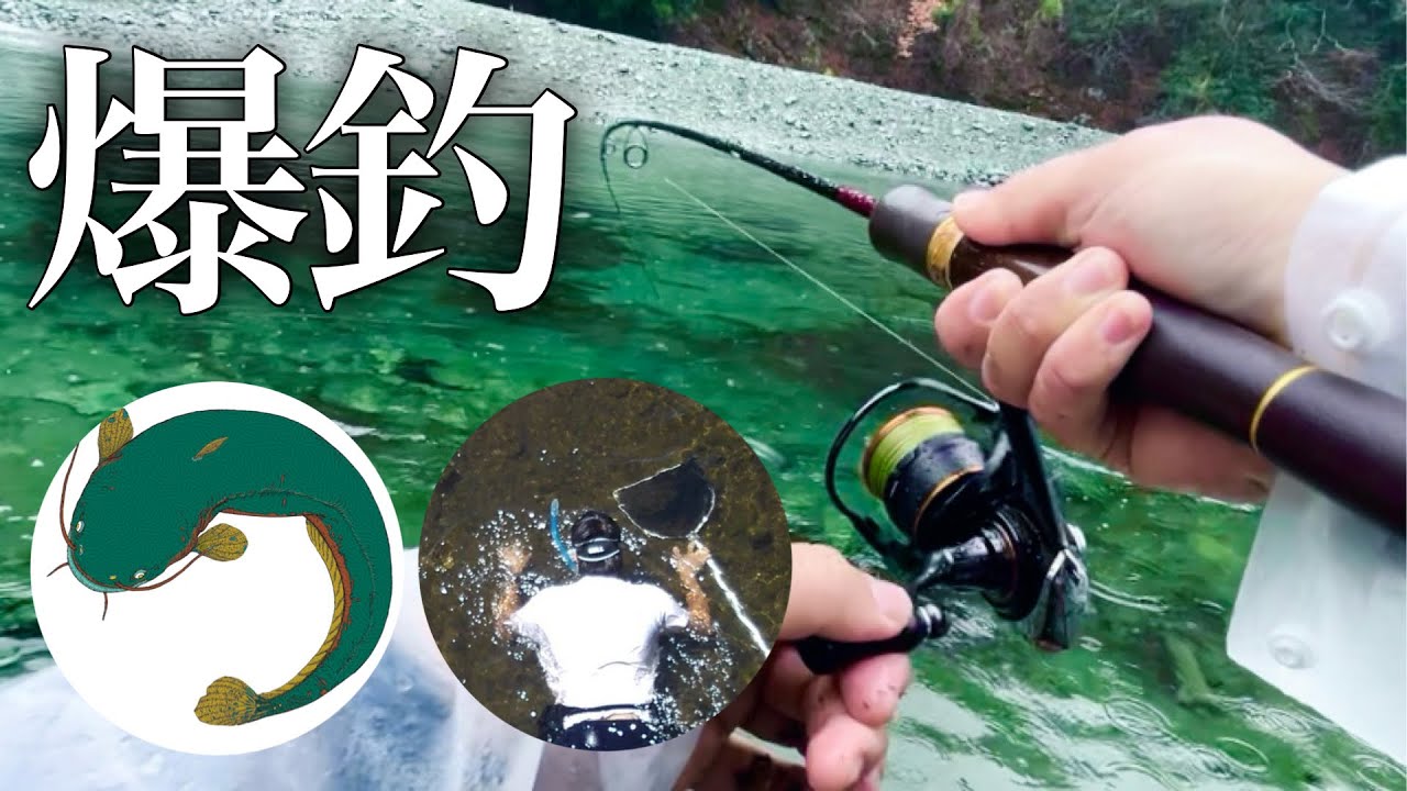ホモサピさんとうーたむさんと初の渓流型エリアに挑戦したら爆釣天国だった【エリアトラウト】【管理釣り場】【リヴァスポット早戸】
