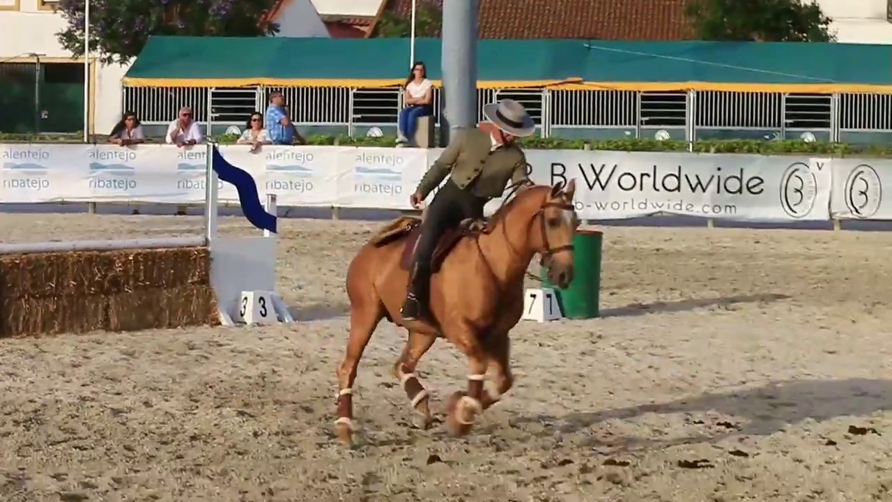 Portuguese National Championship Working Equitation Speed Trail Godinho/Trigo
