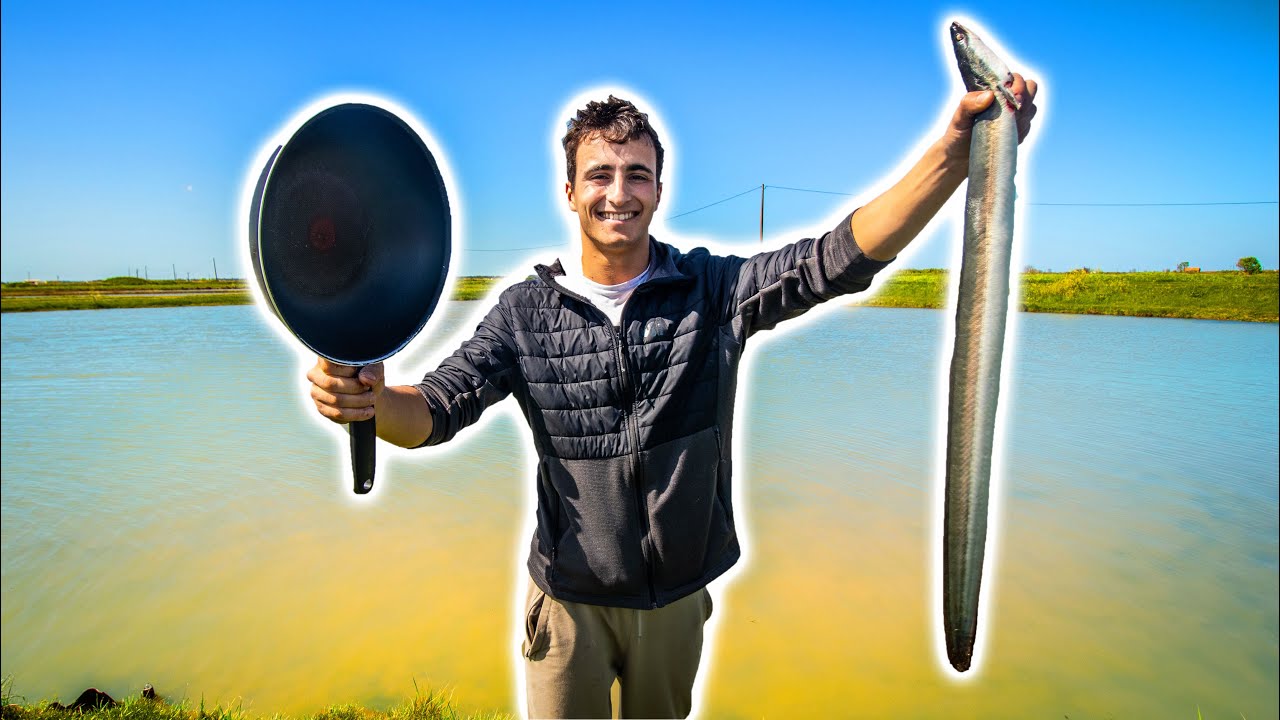 Pêcher et Manger l'Anguille !