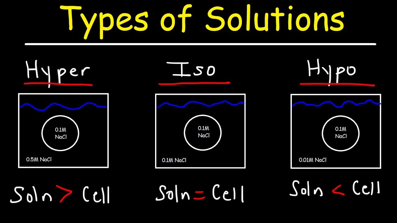 Hypertonic, Hypotonic, and Isotonic Solutions