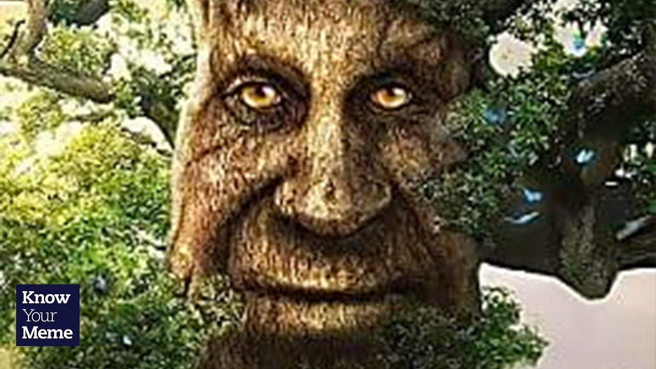 How This Creepy Tree Man Became a Meme | Aztrosist Meme Review