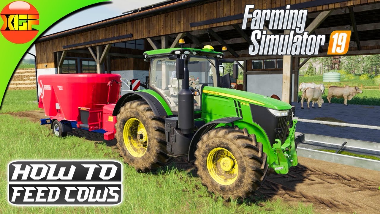 Farming Simulator 19 tutorial #6- How to feed cows! All about cows guide!