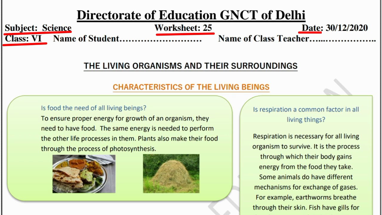 Worksheet 25 Science Class 6 (30/12/20) Directorate of Education class 6th science worksheet 25