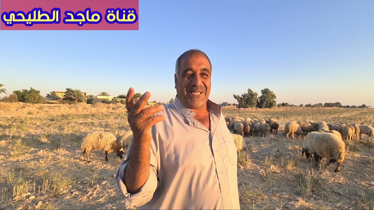 علي سريح اهم مشاريعه في سنة 2022
