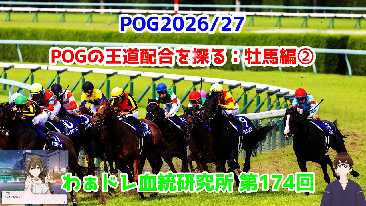 【#わぁドレ血統研究所】POGの王道配合パターンを探る：牡馬編②【POG2026/27】