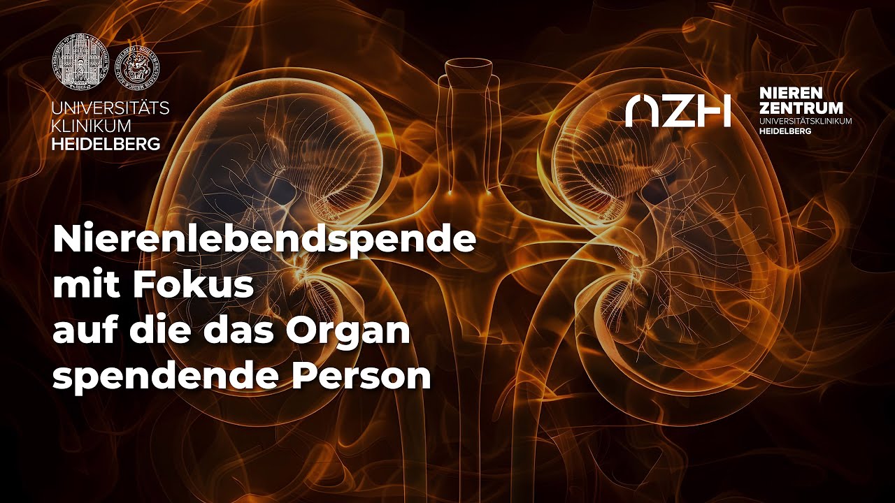 Nierenlebensspende | Mit Fokus auf die das Organ spendende Person