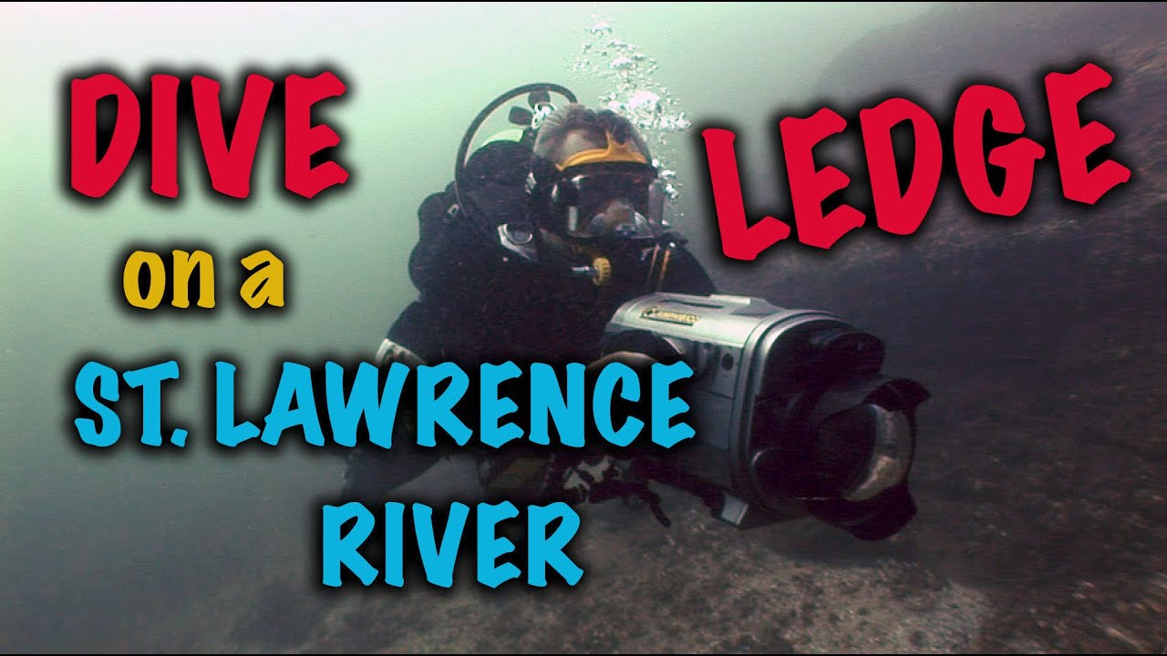 Dive on a St  Lawrence River Ledge