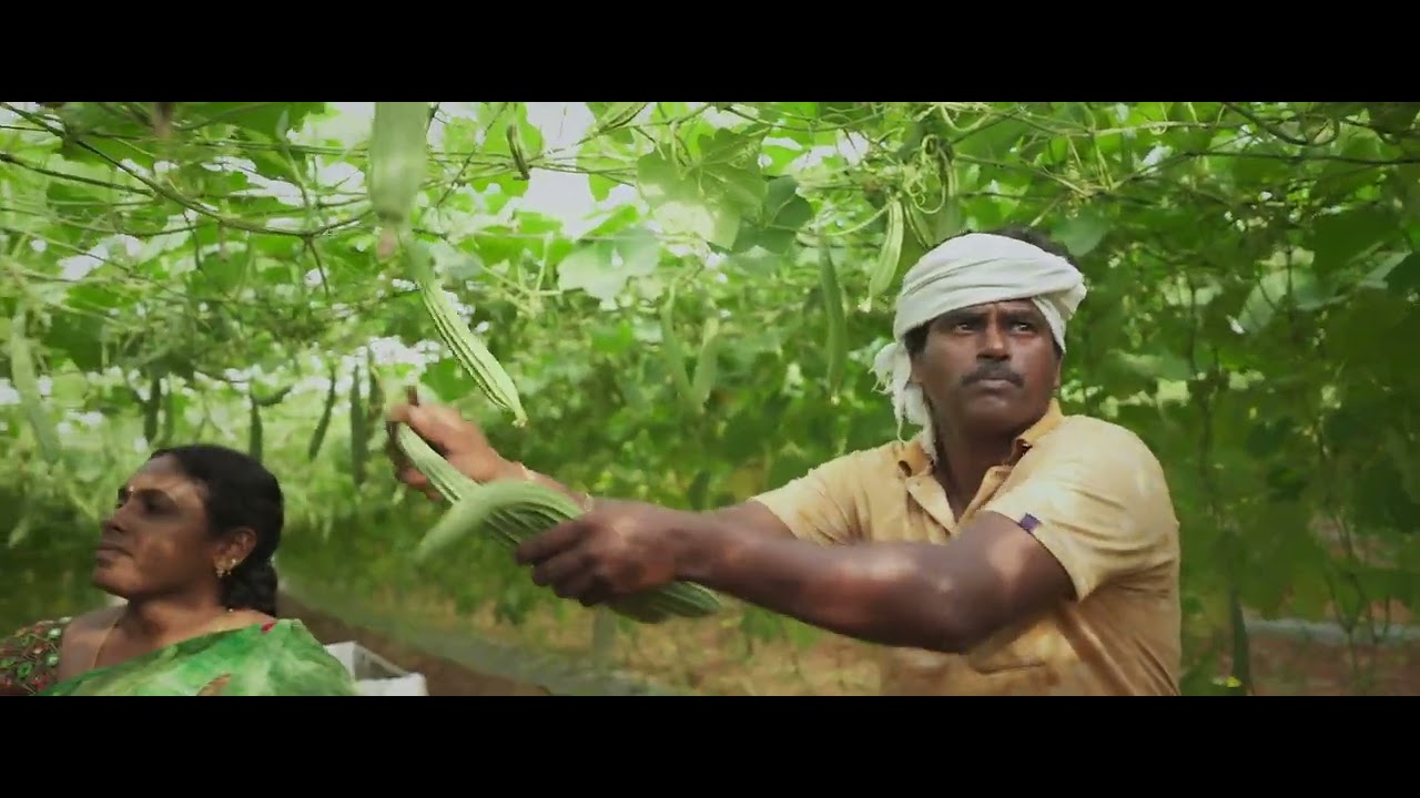 Rythu bandhu (Telangana Government's Investment Support for Farmers!)
