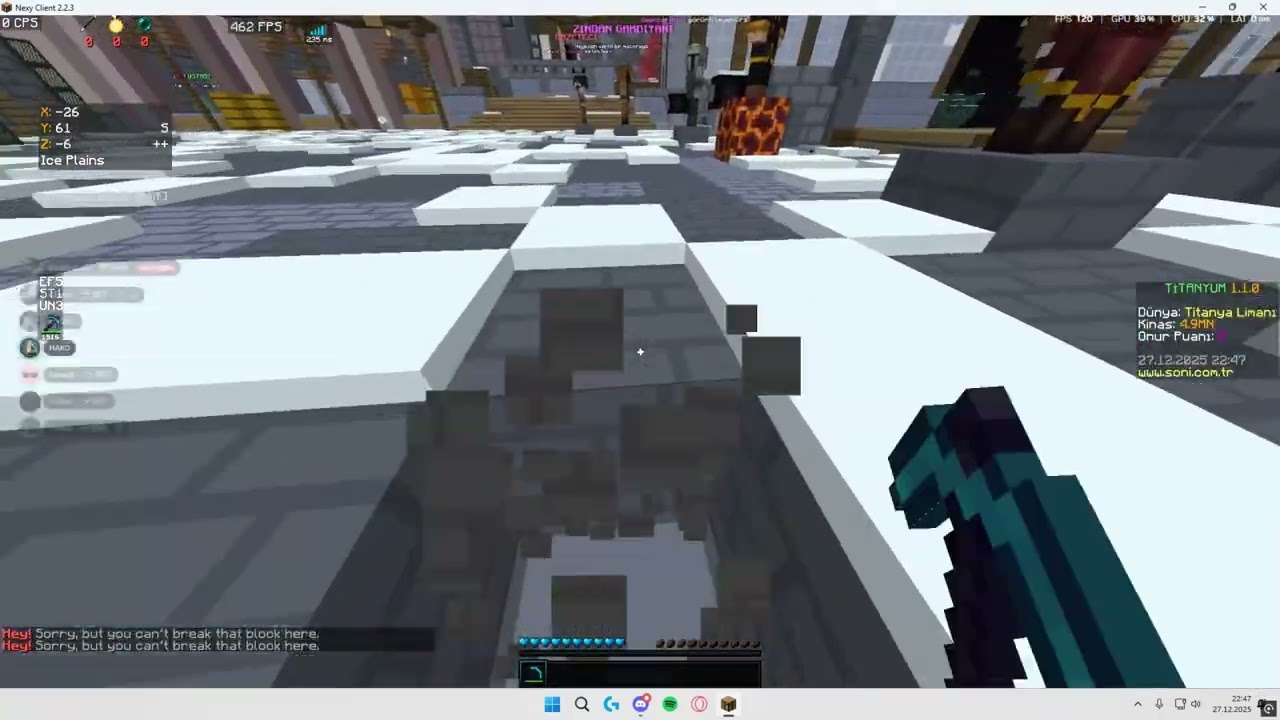 S-niNW Grief | by Zynex | NexyMC HerDaim