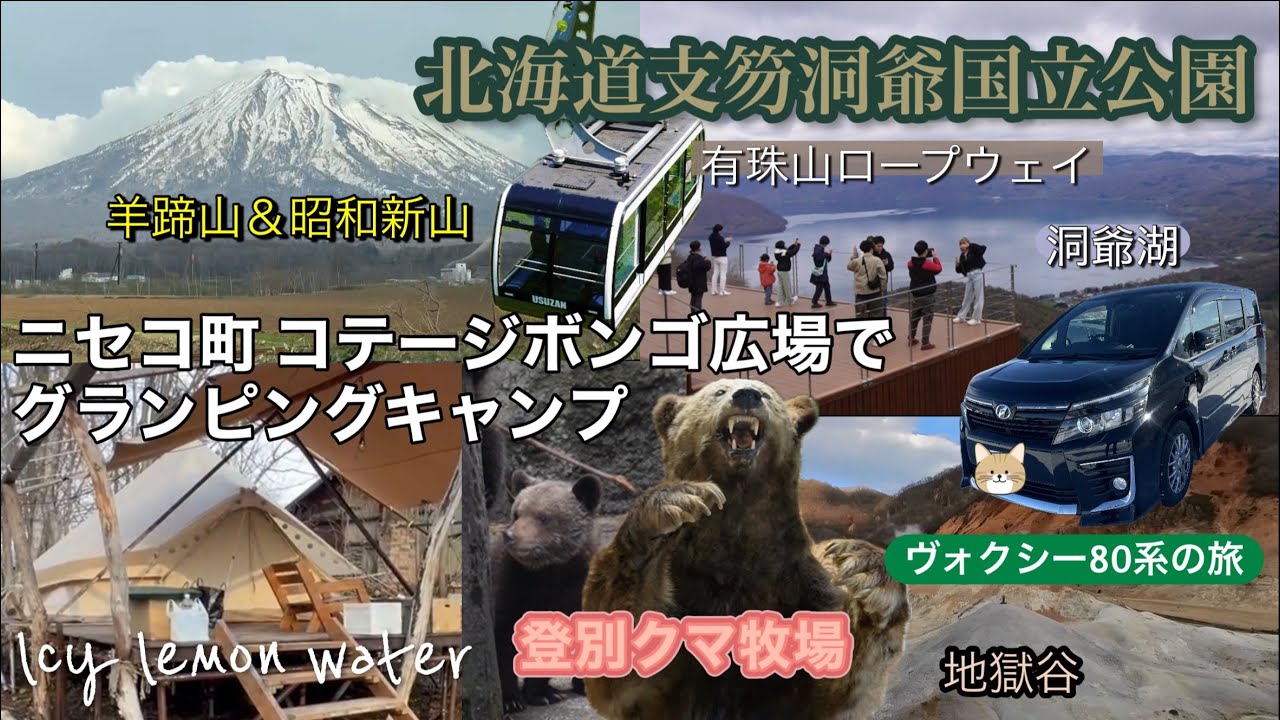 【鹿🦌と遭遇⁉️】北海道支笏洞爺国立公園【絶景巡り】＆「ニセココテージボンゴ広場」でグランピングキャンプ〜有珠山＆登別温泉ロープウェイ🚠クマ牧場【ヴォクシー80系の旅】