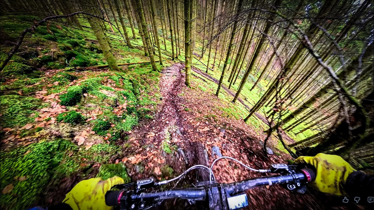 MTB POV — La Dauphiné Black (Off-Season)
