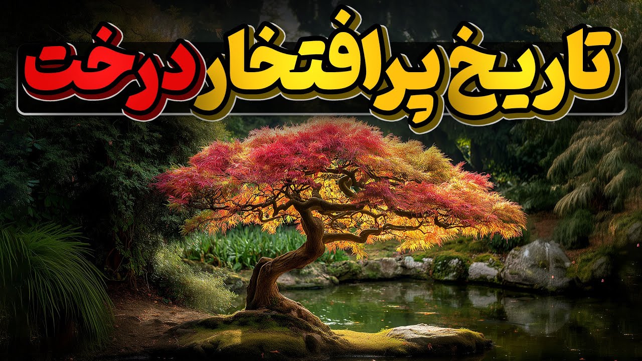 تاریخ پر فراز و فرود و پر افتخار درخت بر روی زمین