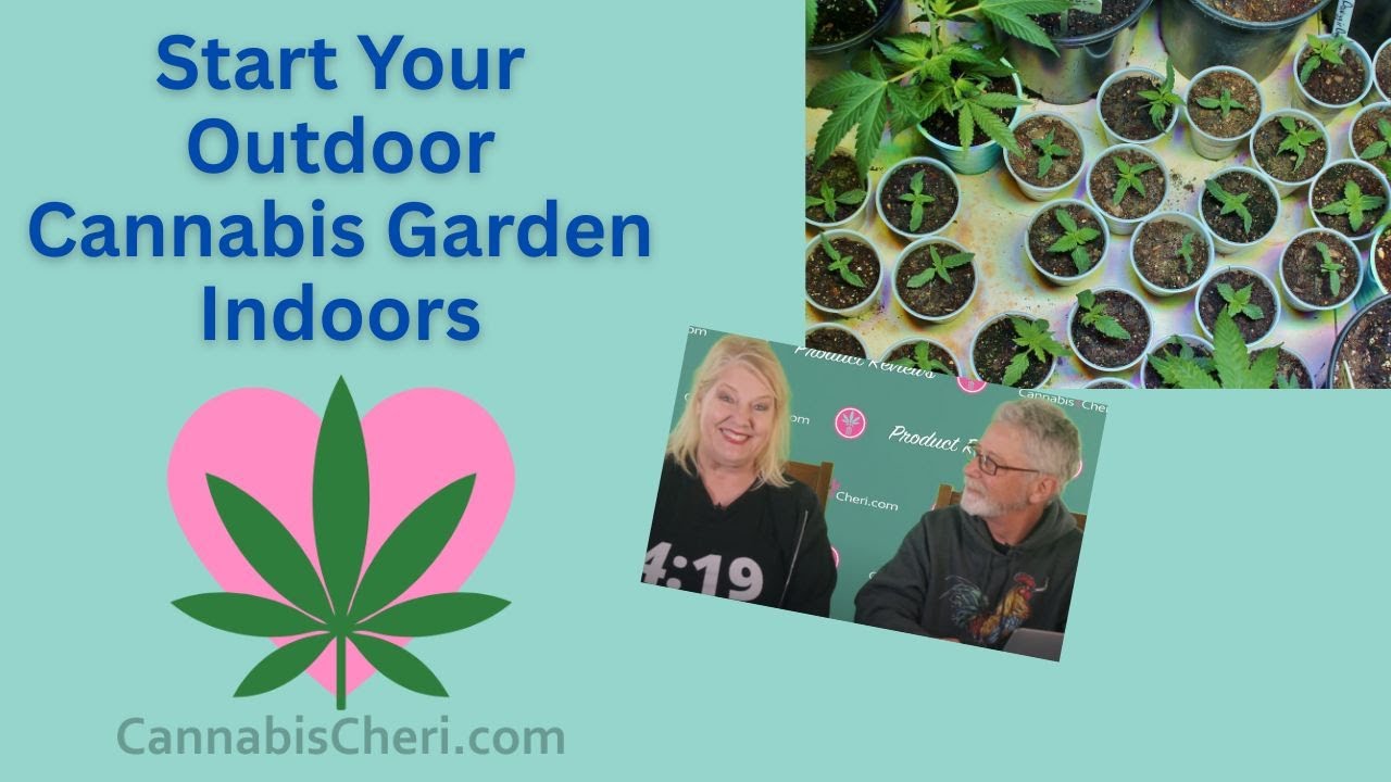 Starting Your Outdoor Cannabis Garden Indoors