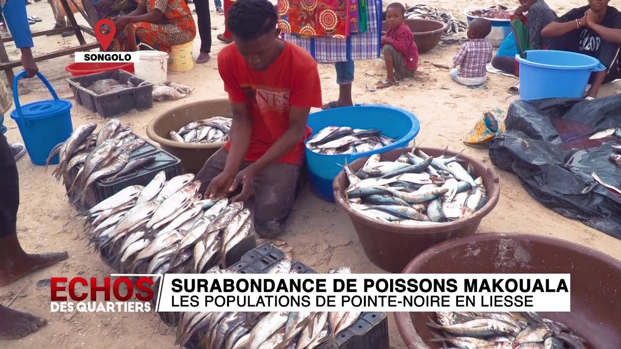 Surabondance de poissons 