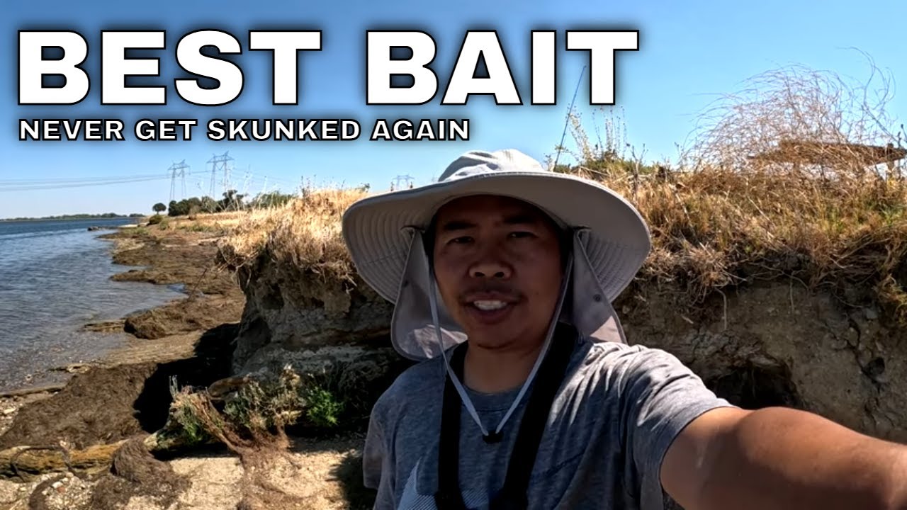 Striper Fishing Unexpected Catch 2025!!!(O'Neill Forebay Fishing)
