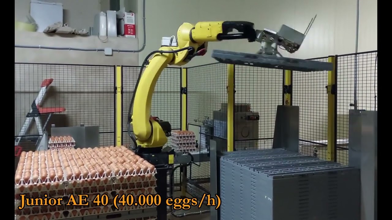OVOCONCEPT : RANGE OF EGG TRAYS PALLETIZER