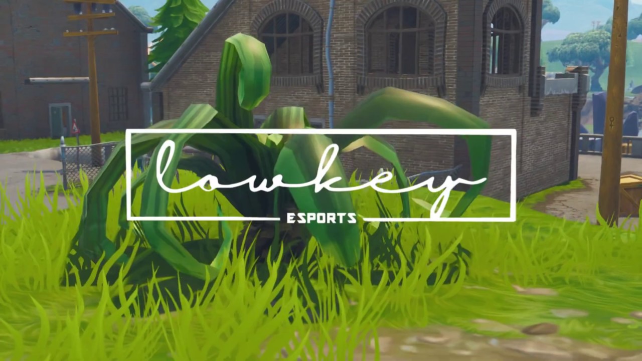 Fortnite | Lowkey Esports Roster Reveal