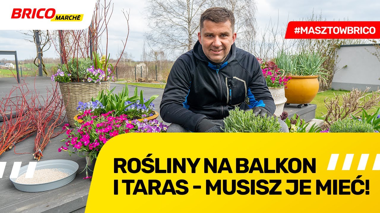Rośliny na balkon i taras - musisz je mieć!