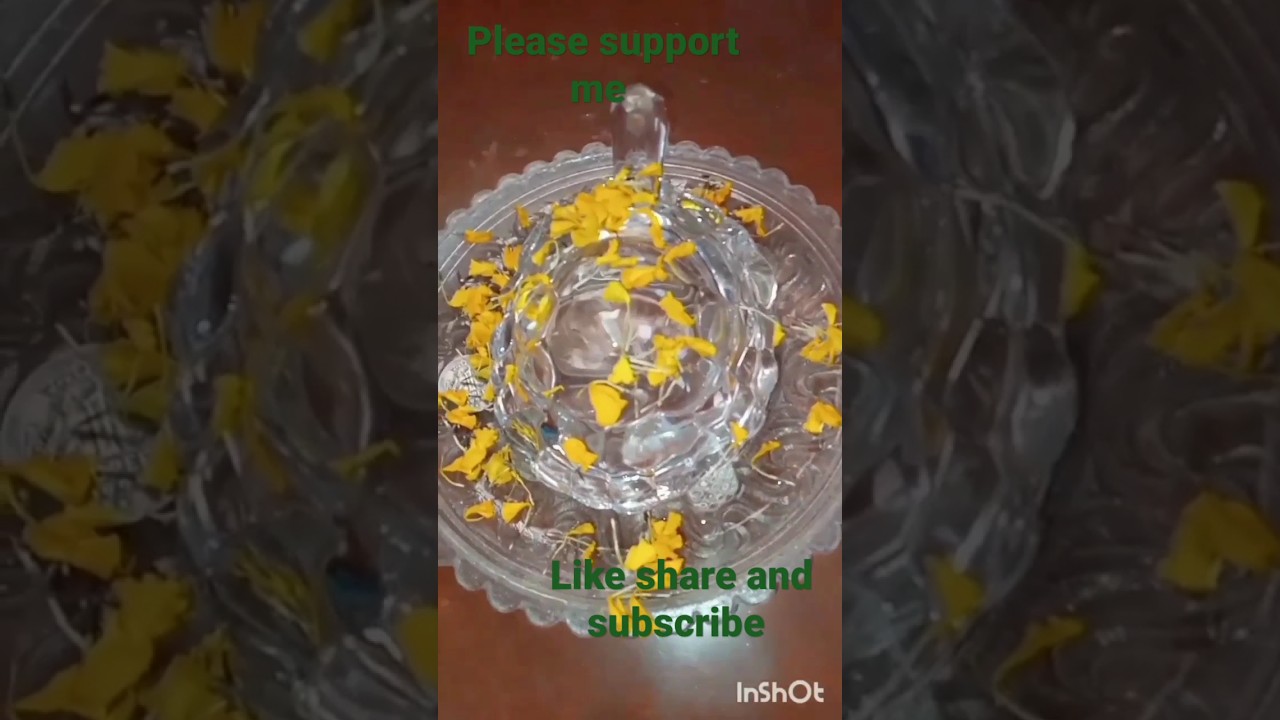 Crystal Tortoise Pooja Vidhi #shorts#trending#viral#reels#vastu#crystal#tortoise#health#money