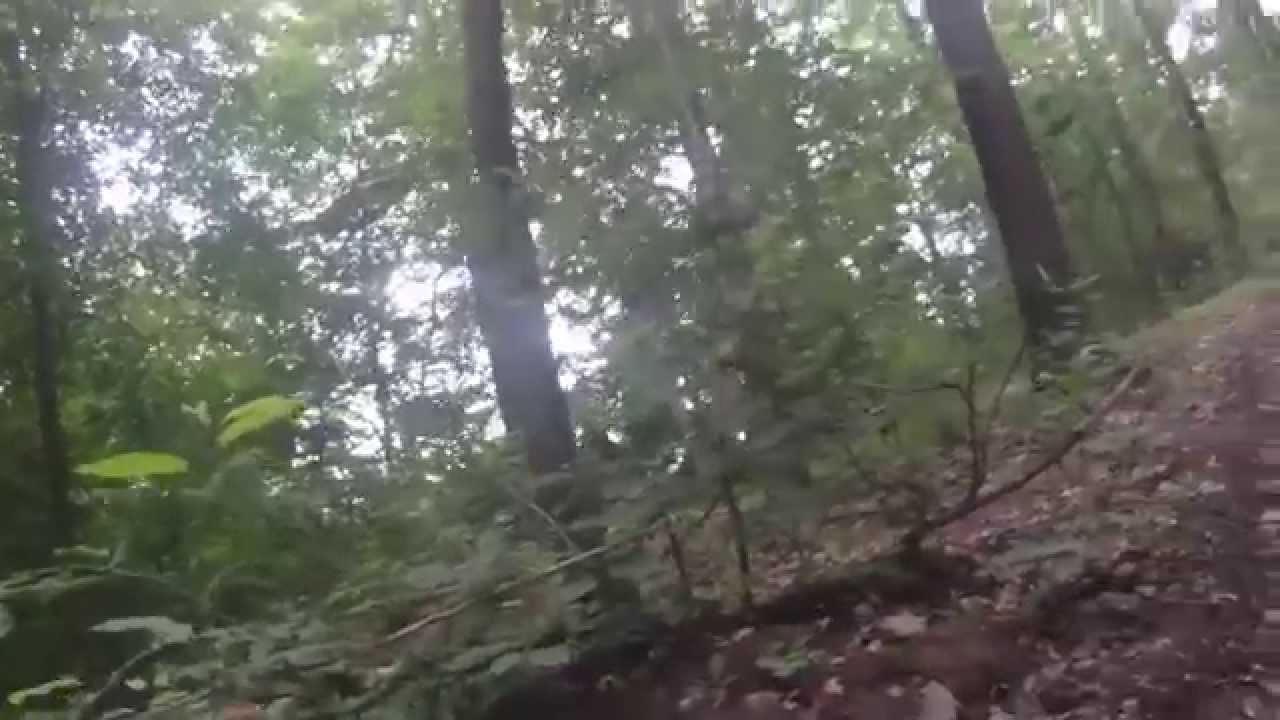 Test - GoPro mit Hund (Part II)