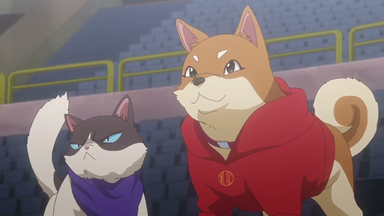 All Bakugan Partners (Update)