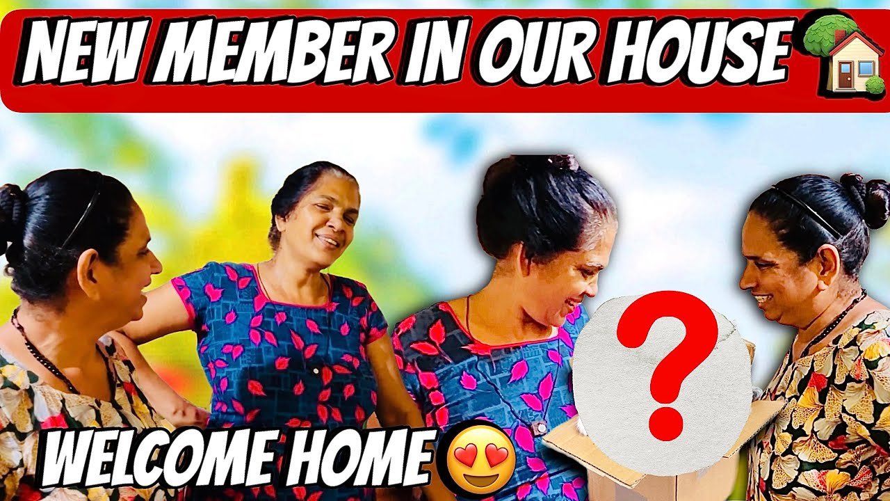 NEW MEMBER IN OUR FAMILY 🏡 #goa #goan #konkani #goanlife #goanvibes #goanvlogger #konkanivlog #vlog