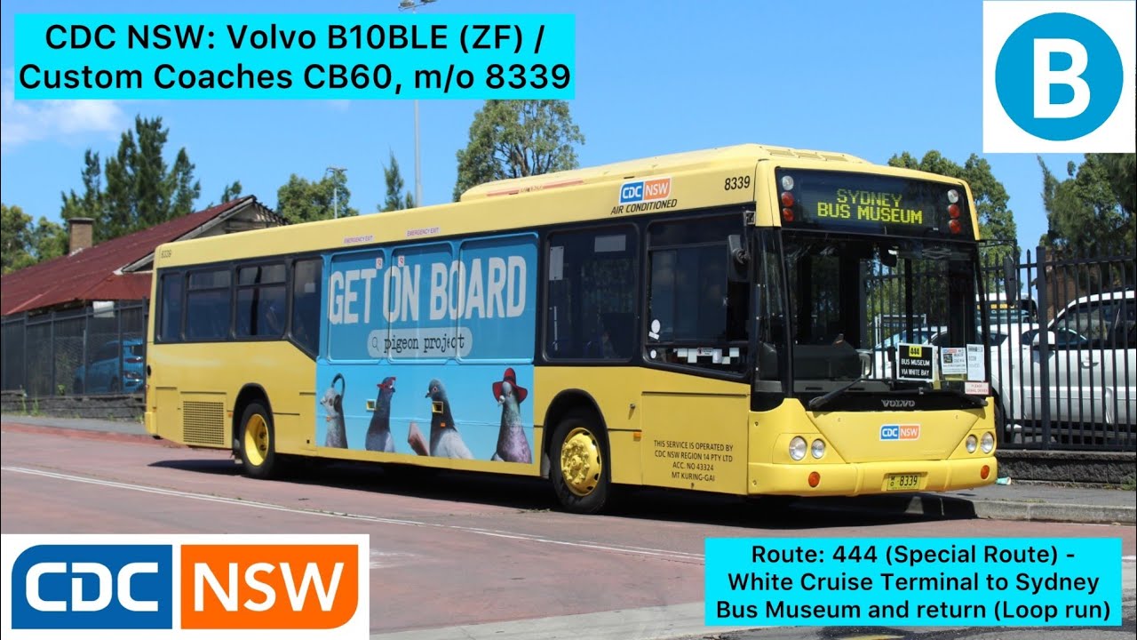 CDC NSW: Volvo B10BLE (ZF) / Custom Coaches CB60, m/o 8339