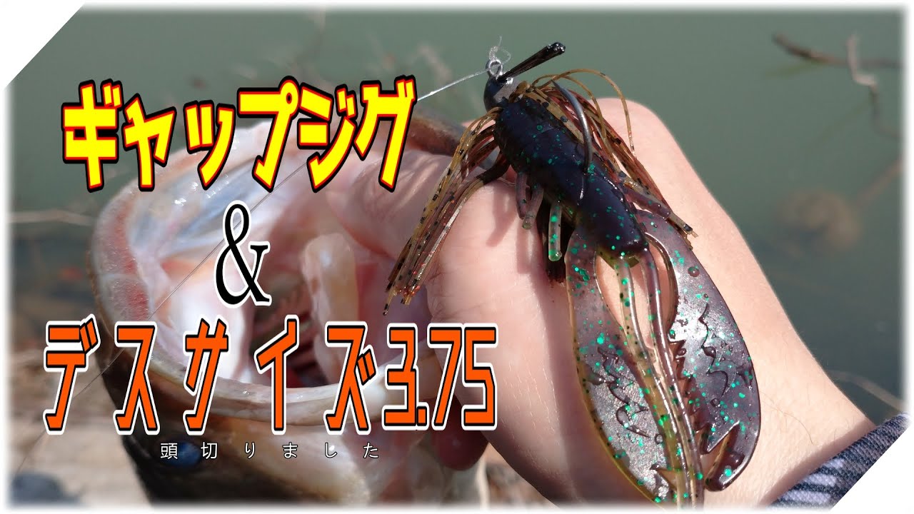 【ギャップジグ】そろそろ他の釣りをしようと努力した【デスサイズ】