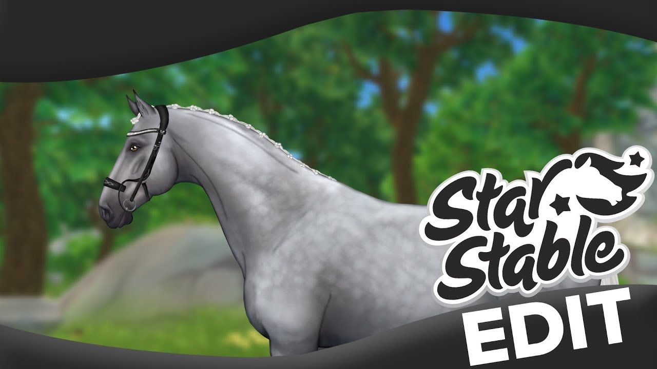 Ash the Jorvik Warmblood | Star Stable Speed Edit ✍️