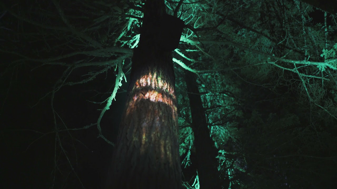 [4K Walkthrough] Vallea Lumina, Whistler