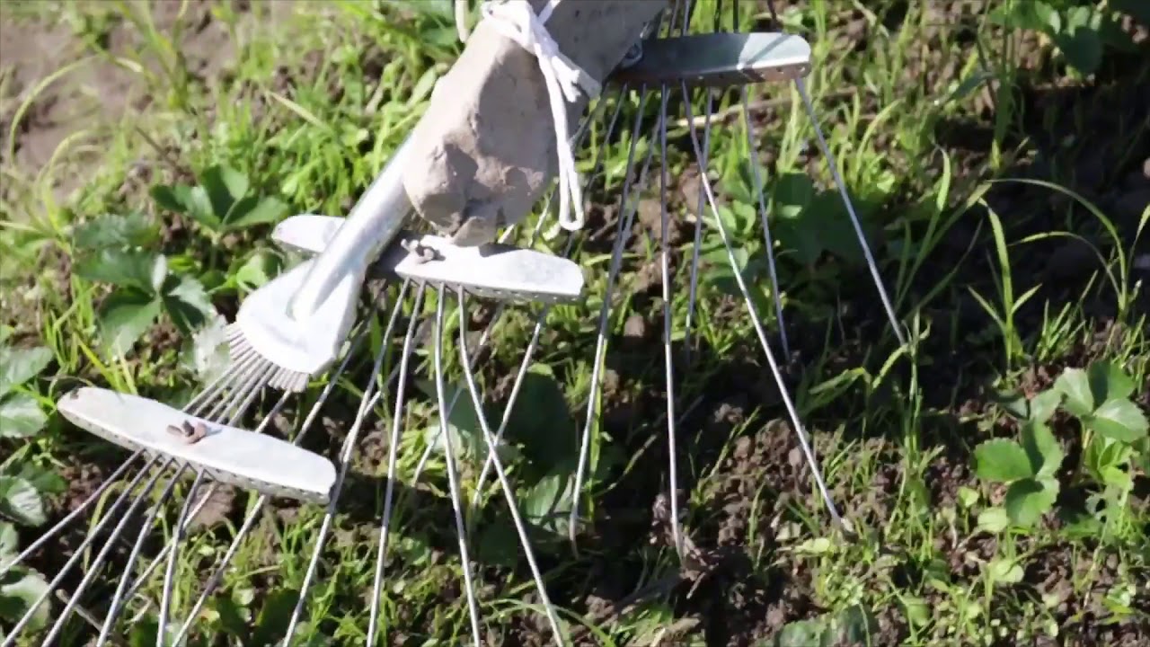 ホウキング -農業をもっと楽しくする-   Interplant Weeding Broom 