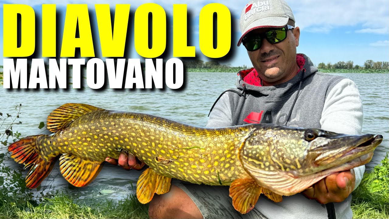 Gara di Pesca a SPINNING ai Predatori di MANTOVA - Un Passo dal PODIO!