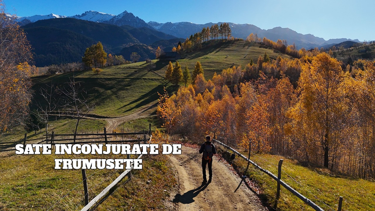 Poalele Muntilor | Moeciu de Sus (Amfiteatrul Transilvania T9) & Șimon