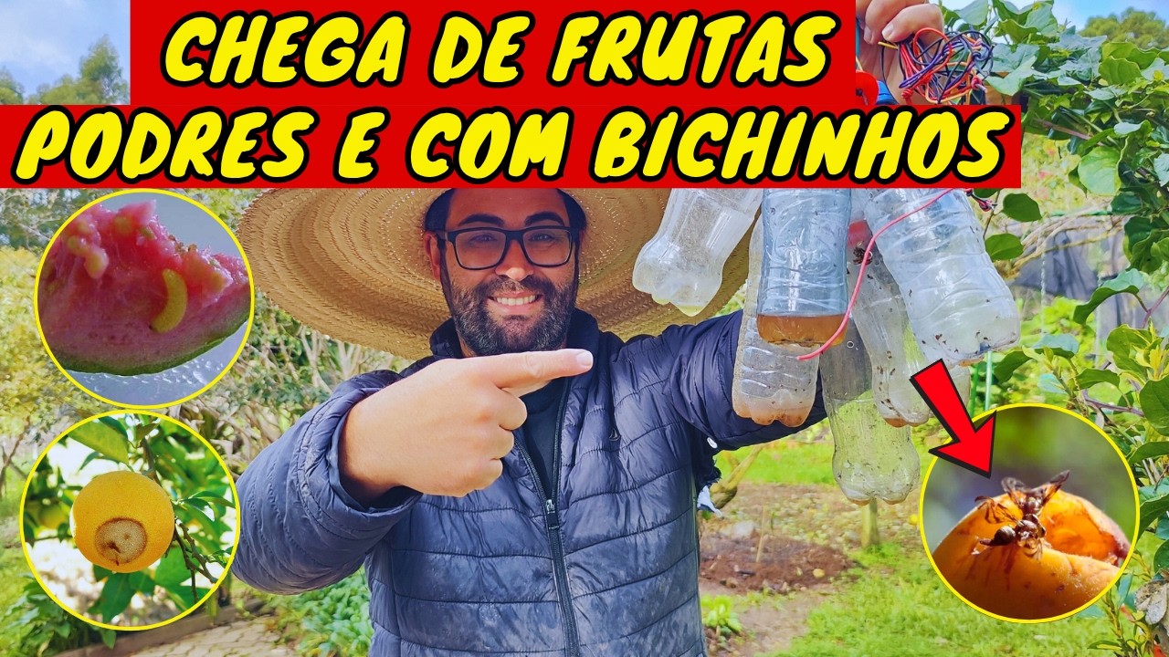 ✅CHEGA de FRUTAS PODRES e CHEIA de BICHOS ( TÉCNICA INFALÍVEL E COMPROVADA)