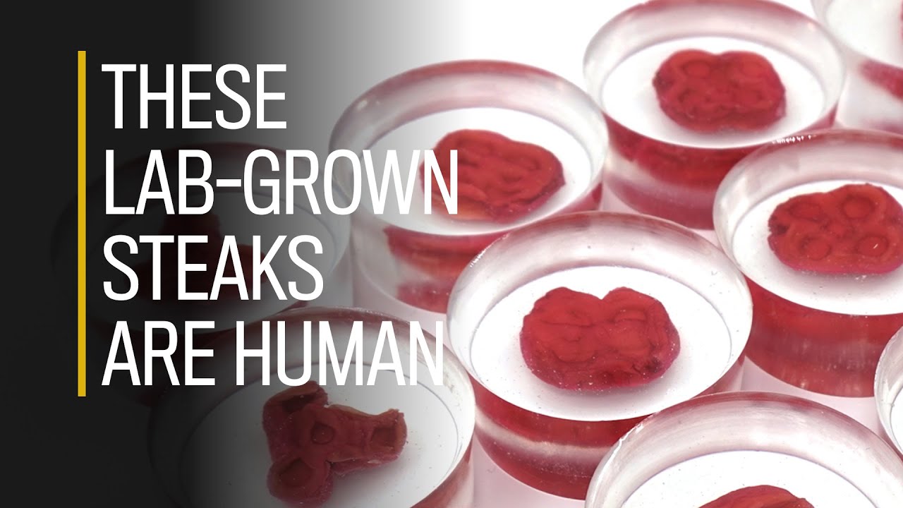 These lab-grown steaks are human