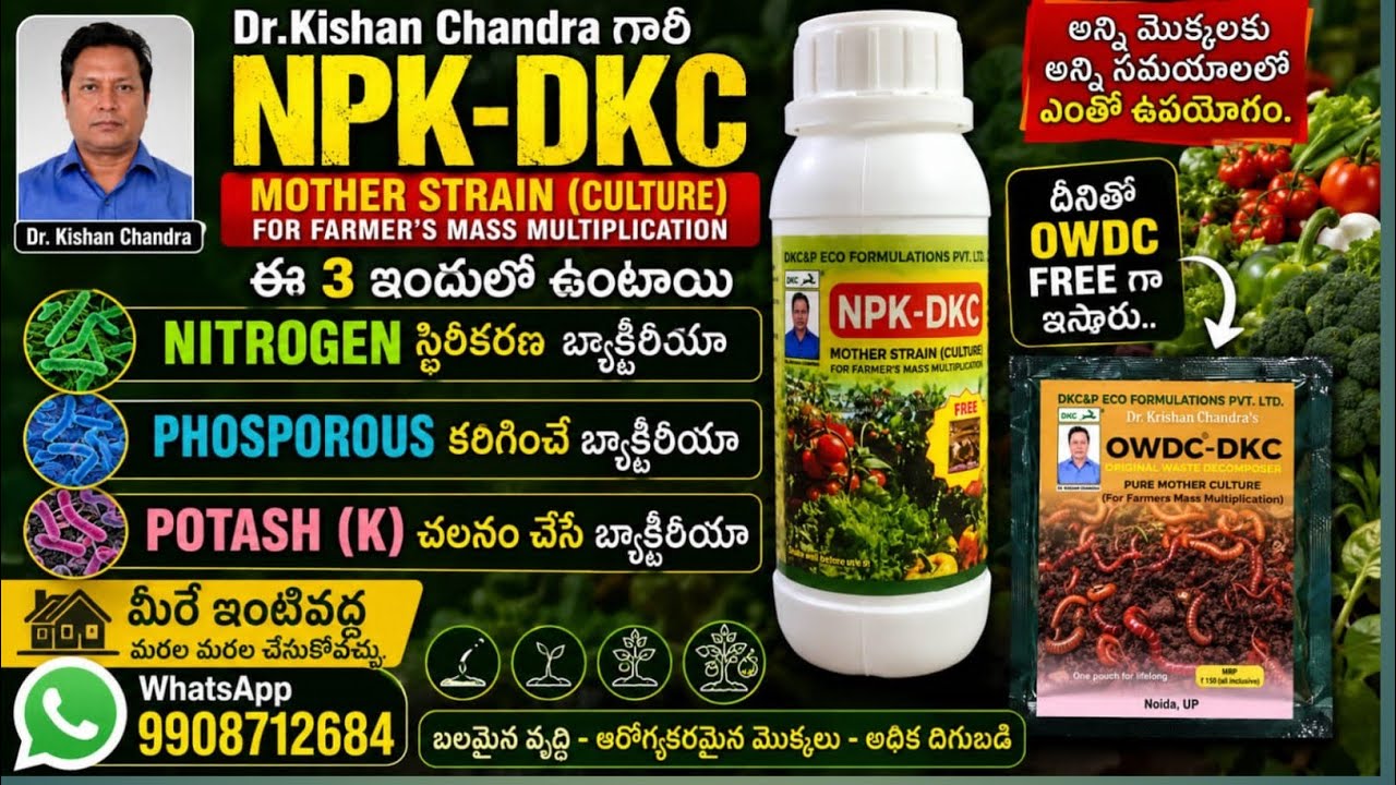 251. Dr.Kishan Chandra's NPK-DKC , how to mass multiply and use for all crops.