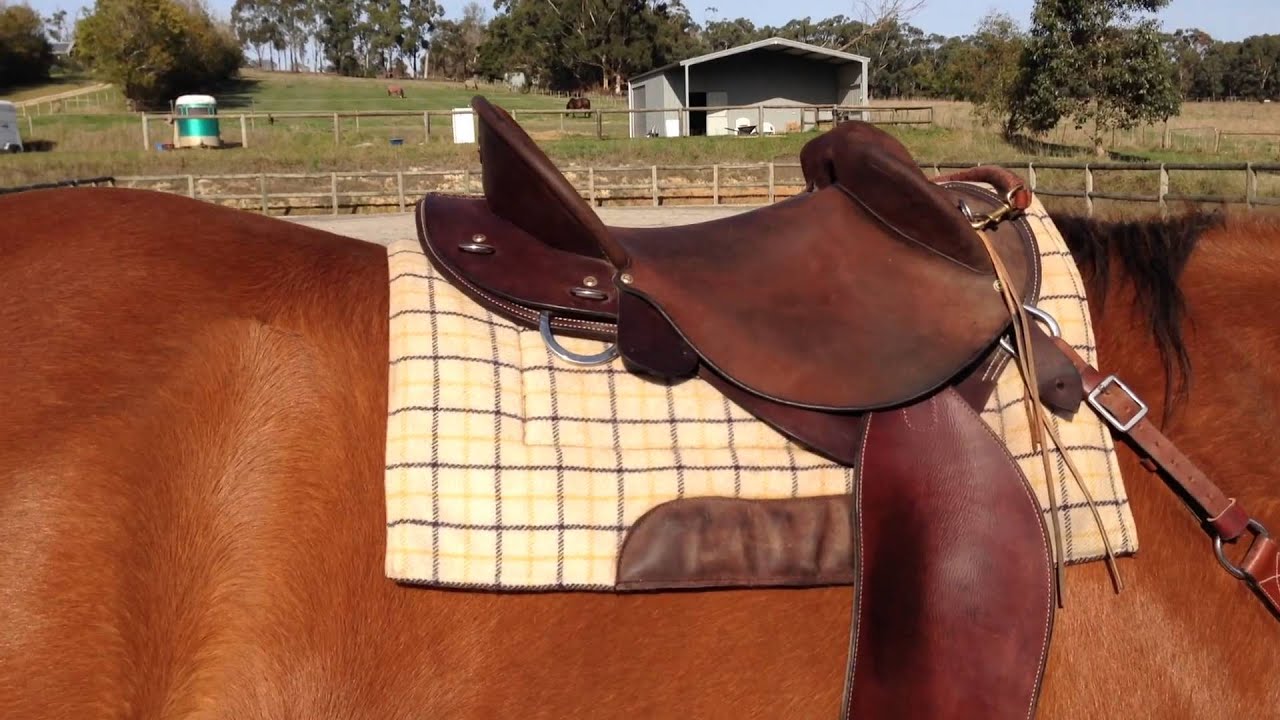 Kent Western Drafter Saddle Review - Australian Half-breed
