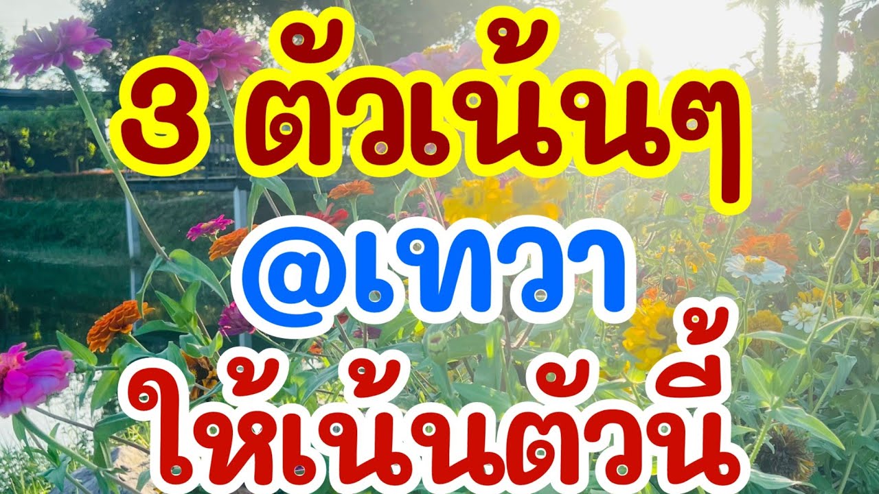 ด่วน 3 ตัวเน้นๆ แอดเทวา เอื้อยหล่า เน้นตัวนี้นะ 1 ก.พ. 69 [EP.9]