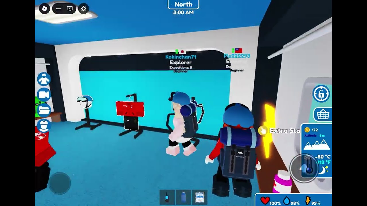 Me playing Expedition Antarctica