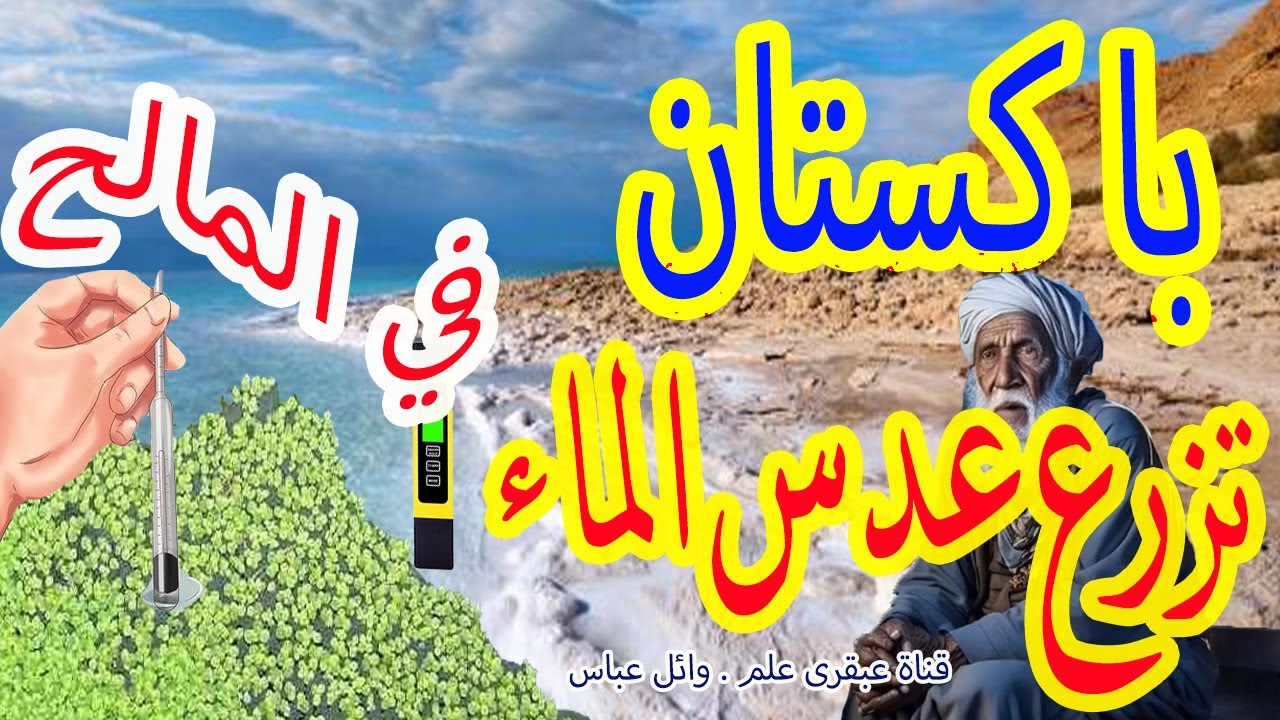 المستحيل الممكن: باكستان تحقق إنجازًا استثنائيًا بزراعة عدس الماء في بيئة مالحة قاسية.قناة عبقرى علم