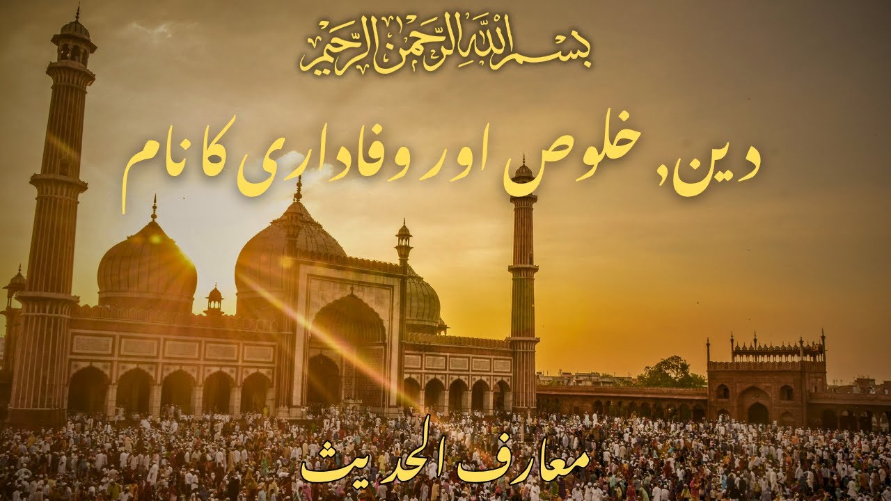 Deen ki samajh or quran ki azmat | Islamic Bayan