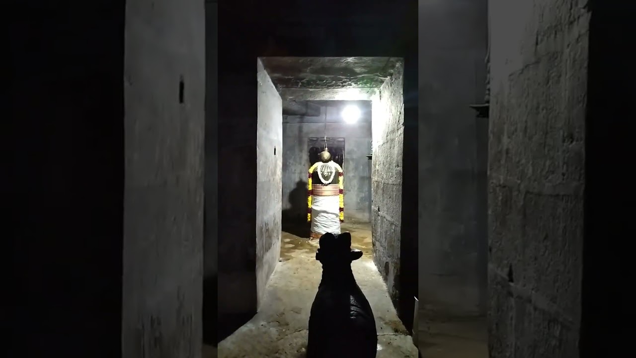 Kalangi Nathar Siddhar JEEVA SAMADHI KANCHIPURAM