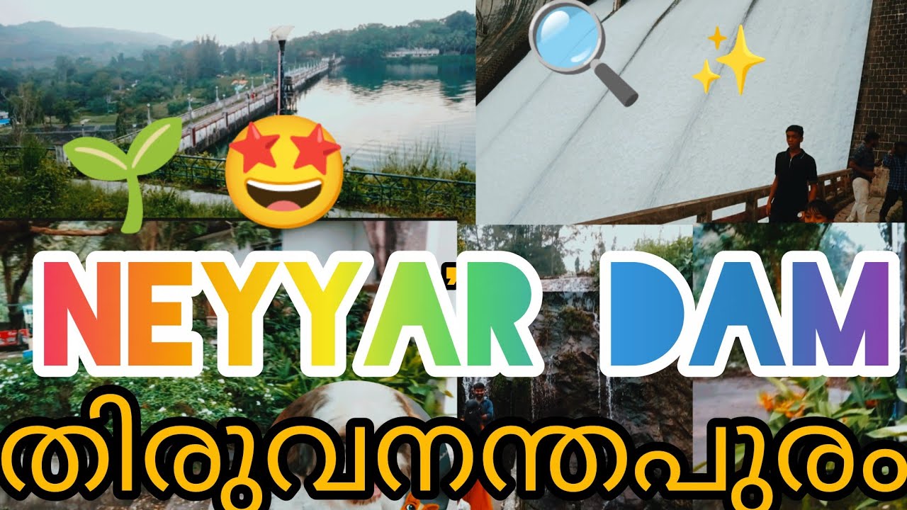 നെയ്യാർ ഡാമിൻറെ ഇപ്പോഴത്തെ അവസ്ഥ !/വീട്ടിലെ പൂന്തോട്ടത്തിന് ഒരു പുതിയ പാഠം/🌿🔍🌠