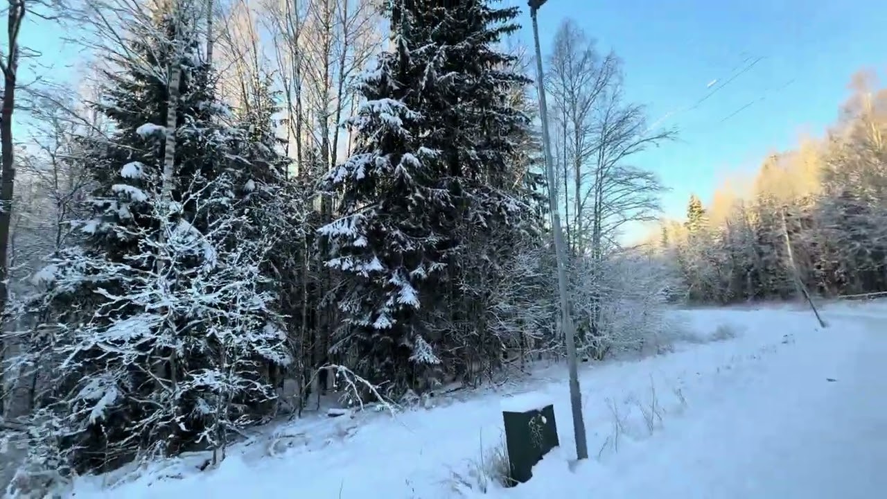 #beautiful #winter 