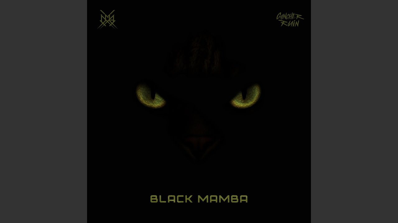 Black Mamba