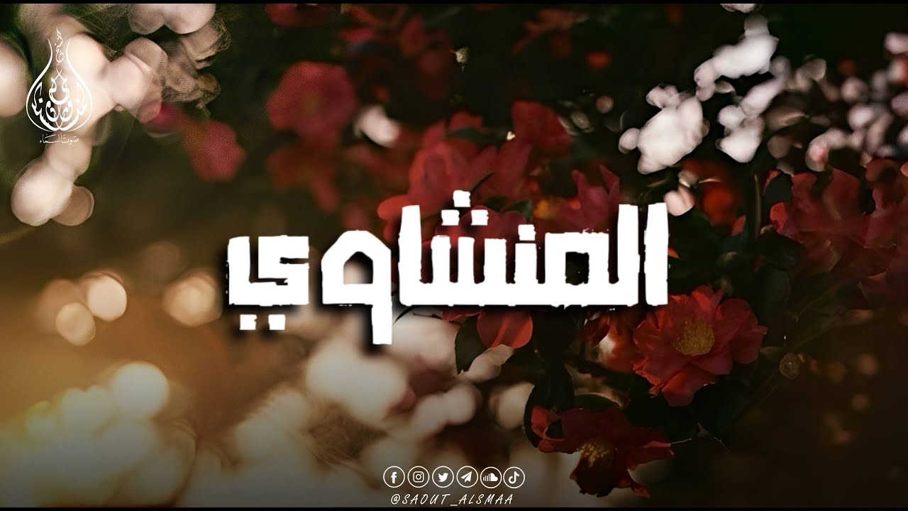 المنشاوي الخاشع… تلاوة نادرة تُلامس أعماق القلب 🎧